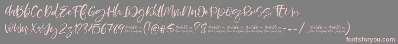 Moskova Font – Pink Fonts on Gray Background