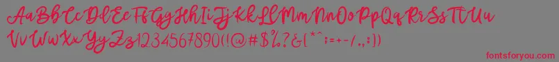 Mottas Font – Red Fonts on Gray Background