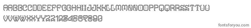 フォントTypodikaRegular – 白い背景に灰色の文字