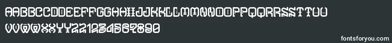 Czcionka TypodikaRegular – białe czcionki