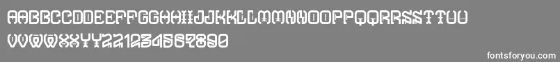 フォントTypodikaRegular – 灰色の背景に白い文字