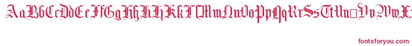 MottisfontNo2 Font – Red Fonts