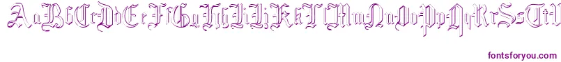 MottisfontNo4 Font – Purple Fonts