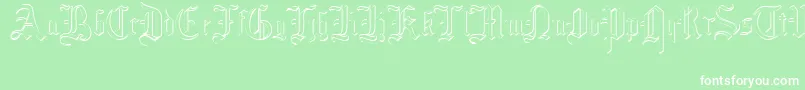 MottisfontNo4 Font – White Fonts on Green Background