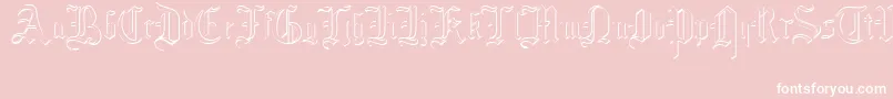 Czcionka MottisfontNo4 – białe czcionki na różowym tle