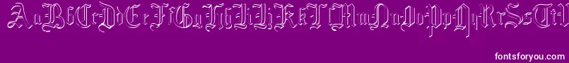 MottisfontNo4 Font – White Fonts on Purple Background