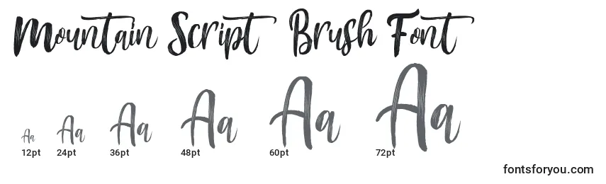 Размеры шрифта Mountain Script   Brush Font