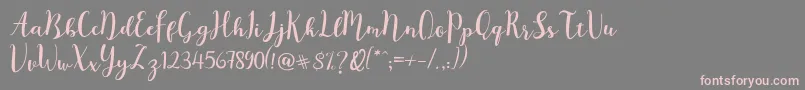 Mr  Night Demo Font – Pink Fonts on Gray Background