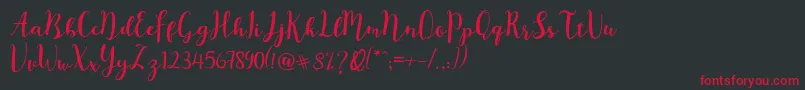 Mr  Night Demo Font – Red Fonts on Black Background
