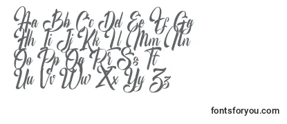 Review of the MrScripton Font