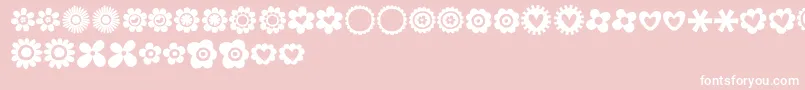 MTF100Dings Font – White Fonts on Pink Background
