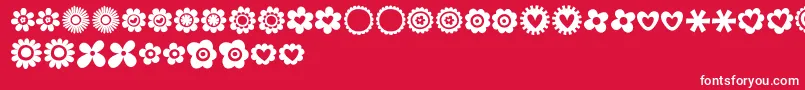 MTF100Dings Font – White Fonts on Red Background