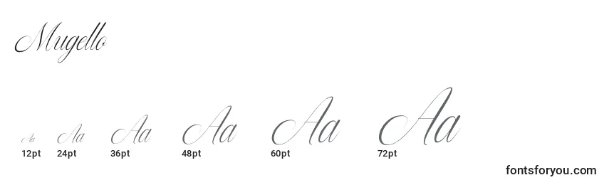 Mugello Font Sizes