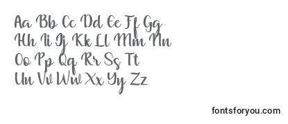 Обзор шрифта Muliana