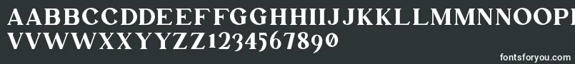 Mullion Demo Version-fontti – valkoiset fontit mustalla taustalla