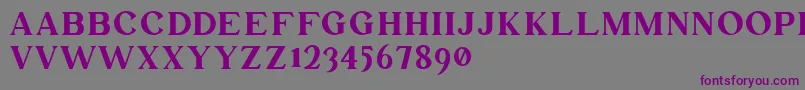 Mullion Demo Version Font – Purple Fonts on Gray Background