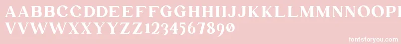 Mullion Demo Version Font – White Fonts on Pink Background
