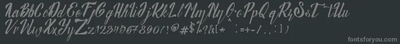 Munich Font – Gray Fonts on Black Background