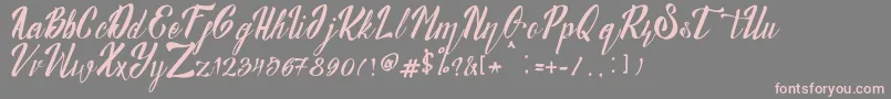 Munich Font – Pink Fonts on Gray Background