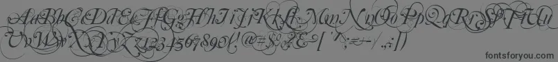 Mutlu  Ornamental-Schriftart – Schwarze Schriften auf grauem Hintergrund