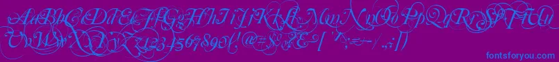 Mutlu  Ornamental-Schriftart – Blaue Schriften auf violettem Hintergrund