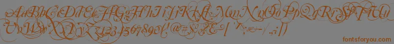Mutlu  Ornamental Font – Brown Fonts on Gray Background