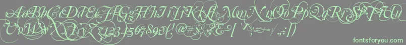 Mutlu  Ornamental-Schriftart – Grüne Schriften auf grauem Hintergrund