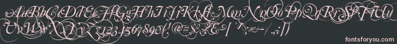 Mutlu  Ornamental Font – Pink Fonts on Black Background