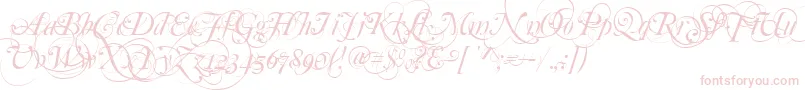 More about Mutlu Ornamental Font Mutlu Ornamental Font – Pink Fonts