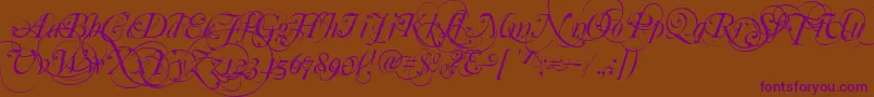 Mutlu  Ornamental Font – Purple Fonts on Brown Background