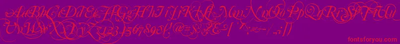 Mutlu  Ornamental Font – Red Fonts on Purple Background