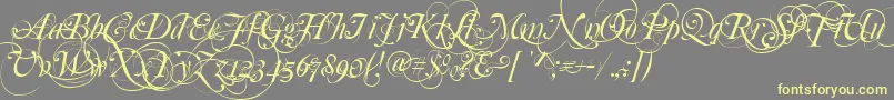 Mutlu  Ornamental Font – Yellow Fonts on Gray Background