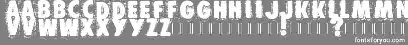 Muzo Font – White Fonts on Gray Background