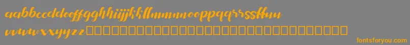 my andriane Font – Orange Fonts on Gray Background