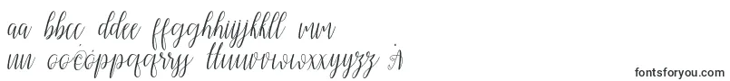 My Darling Script  Font – Polish Fonts