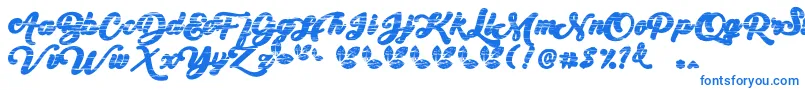 My Yanda1 Font – Blue Fonts on White Background