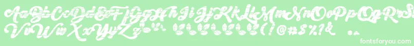 My Yanda1 Font – White Fonts on Green Background