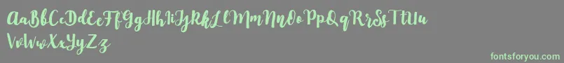 Mylandia Font – Green Fonts on Gray Background