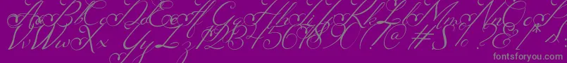 Nachelle Font – Gray Fonts on Purple Background