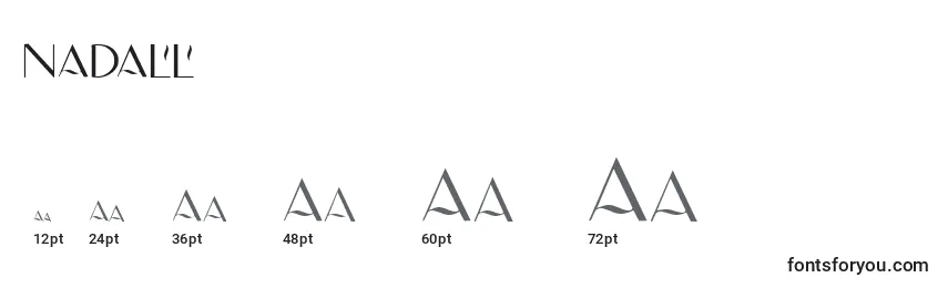 Размеры шрифта NADALL (135226)