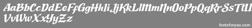 Nadia Sofia Font – White Fonts on Gray Background
