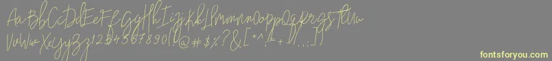 nadine Font – Yellow Fonts on Gray Background