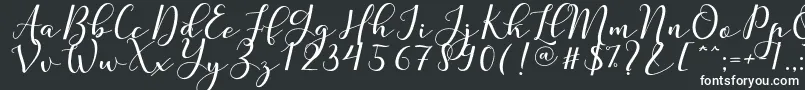 フォントNafigat Script – 白い文字