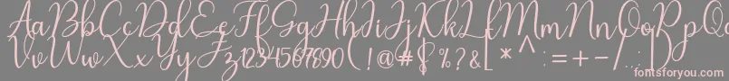 Nafila Font – Pink Fonts on Gray Background