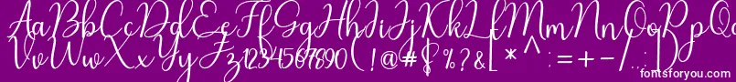 Nafila Font – White Fonts on Purple Background