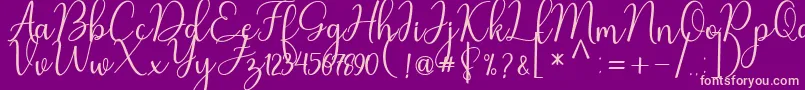 Nafila Font – Pink Fonts on Purple Background