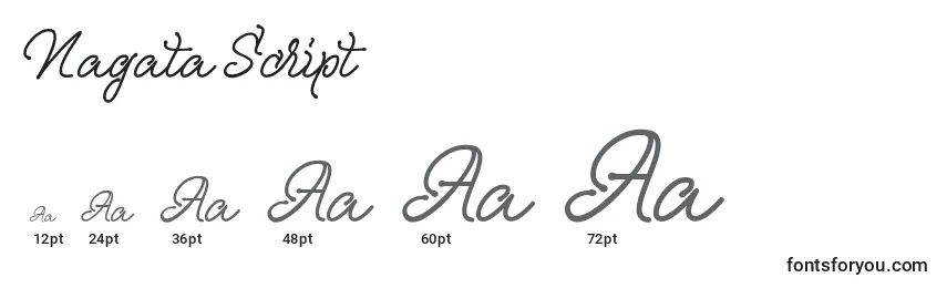 Nagata Script Font Sizes