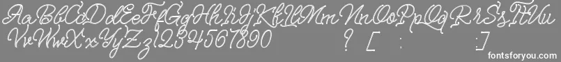 フォントNagata – 灰色の背景に白い文字