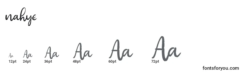 Nahye Font Sizes