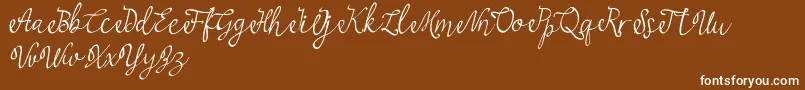 najwa Font – White Fonts on Brown Background